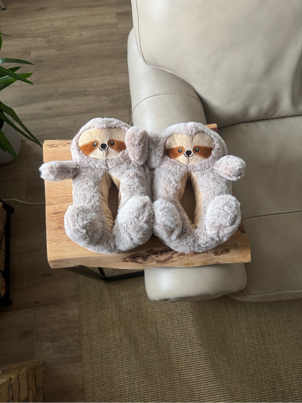 Rainbow Daze Sloth Slippers-7/8-NWOT